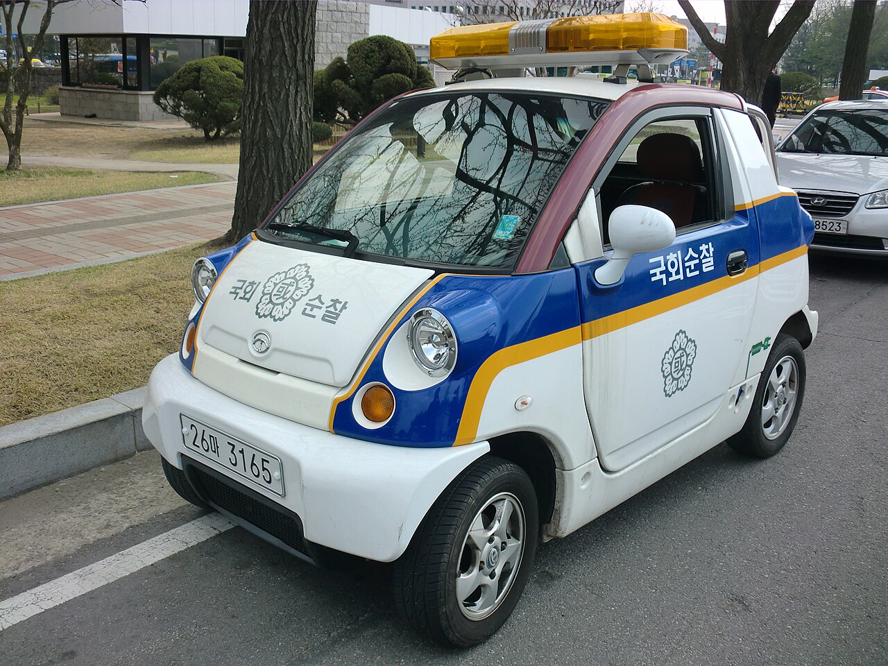 국회의사당 내 순찰차